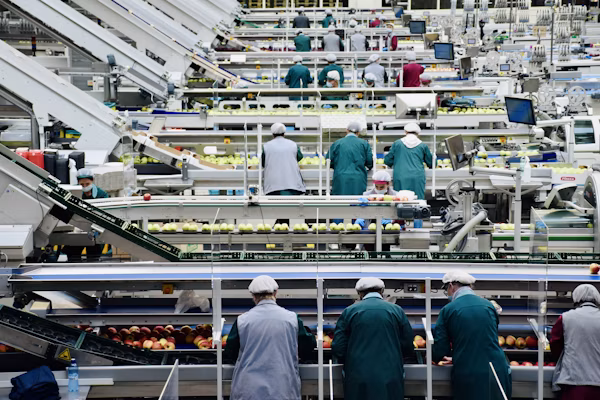 Linea di produzione alimentare con operatori al lavoro